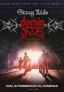 STRAY KIDS: THE DOMINATE EXPERIENCE
